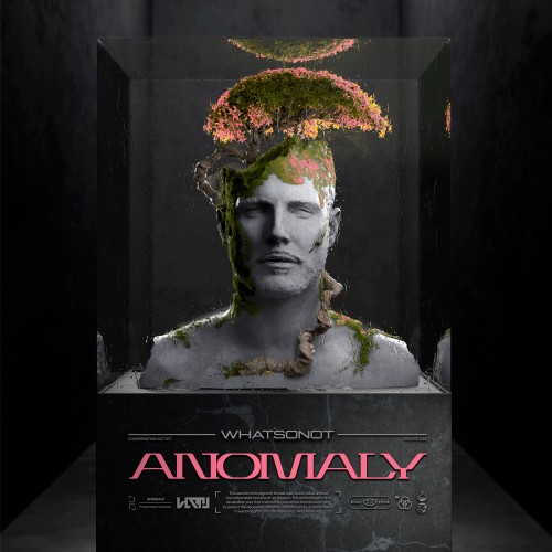 Anomaly - What So Not